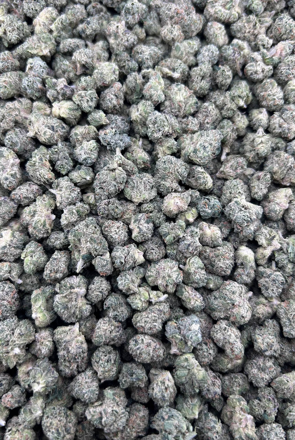 BLING BLING CHERRIES #ZUP4603