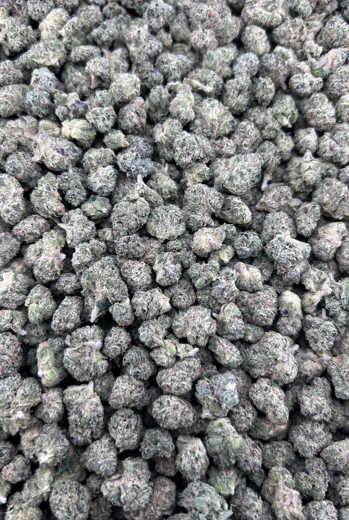 BLING BLING CHERRIES #ZUP4603