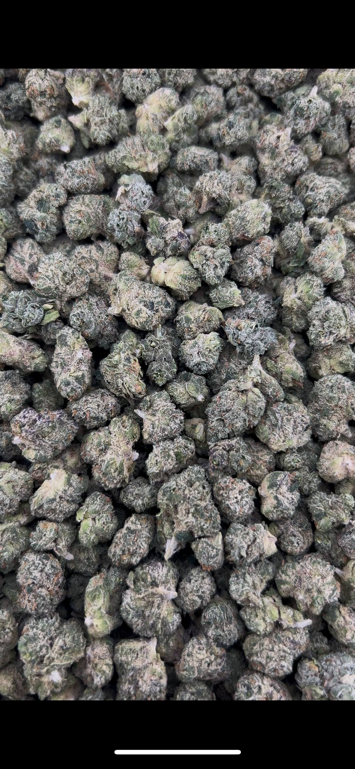 BLING BLING CHERRIES #ZUP4603