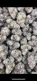 ORANGE SHERBERT #ZUP4567