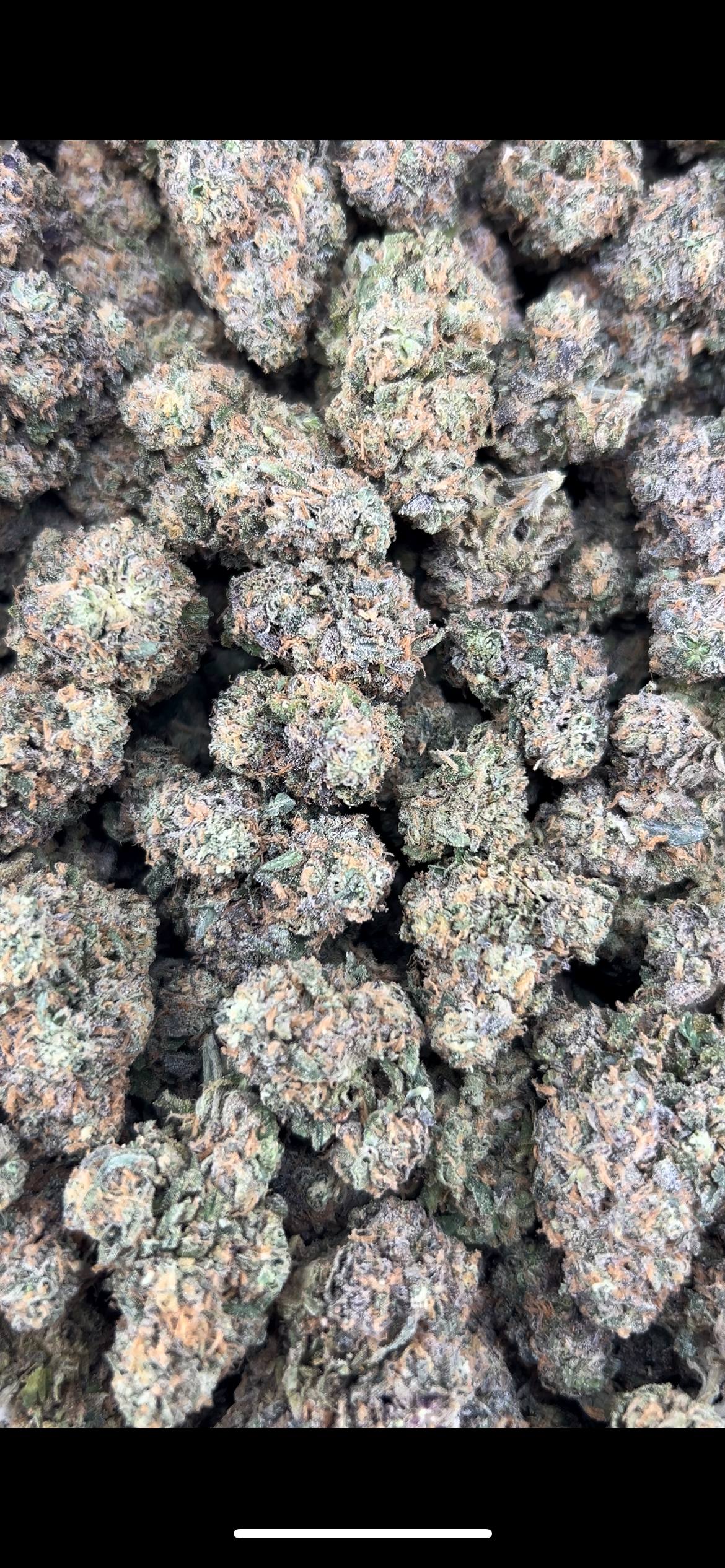 ORANGE SHERBERT #ZUP4567