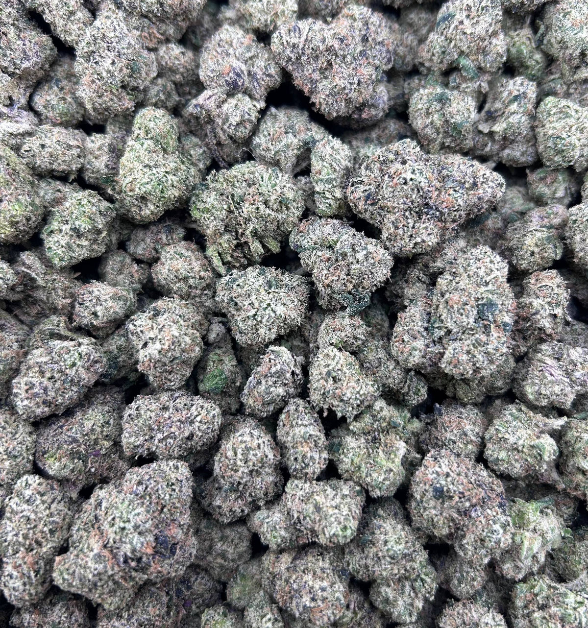 COTTON CANDY #ZUP4628
