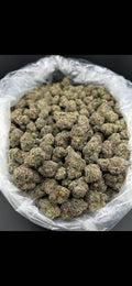 GALAXY GAS #ZUP4562