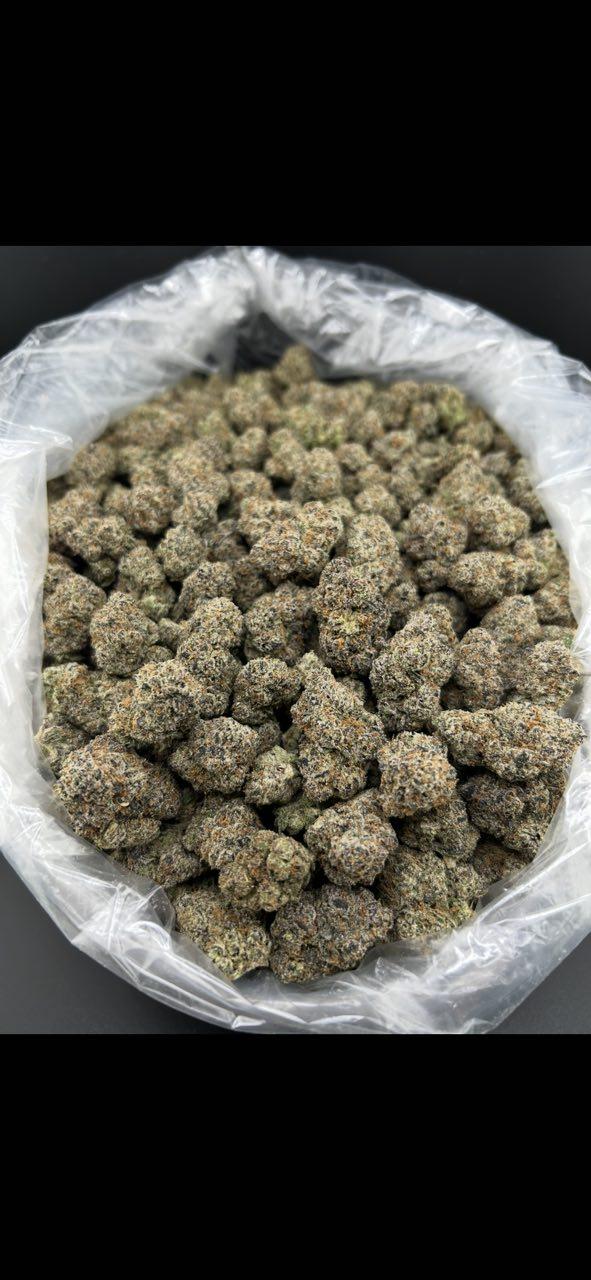 GALAXY GAS #ZUP4562