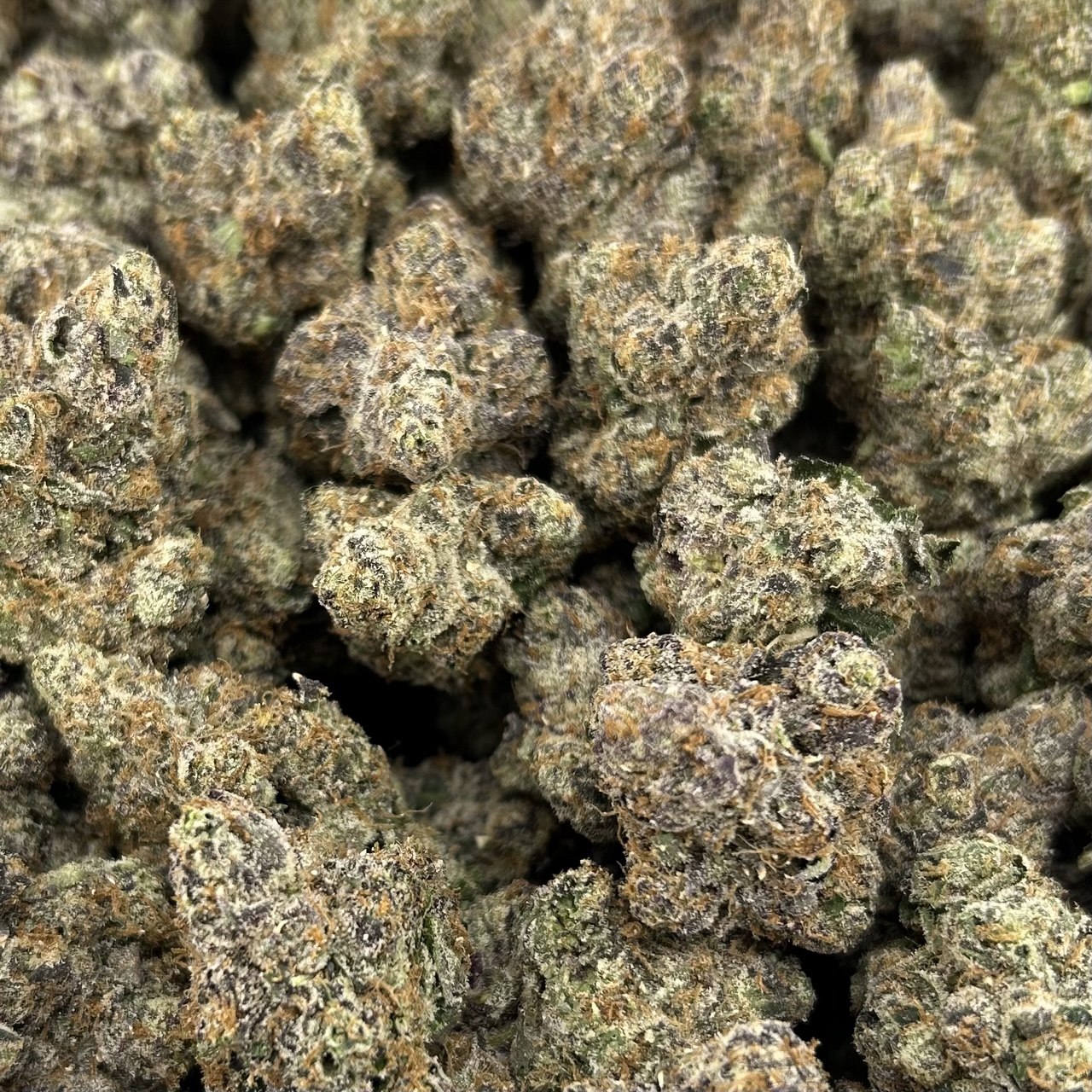 Blackberry Fire ZUP#4099