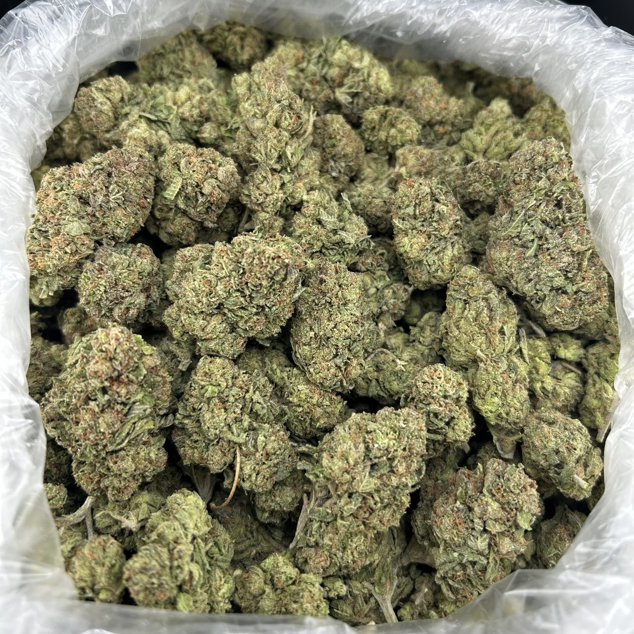 Candy Gas ZUP#4114