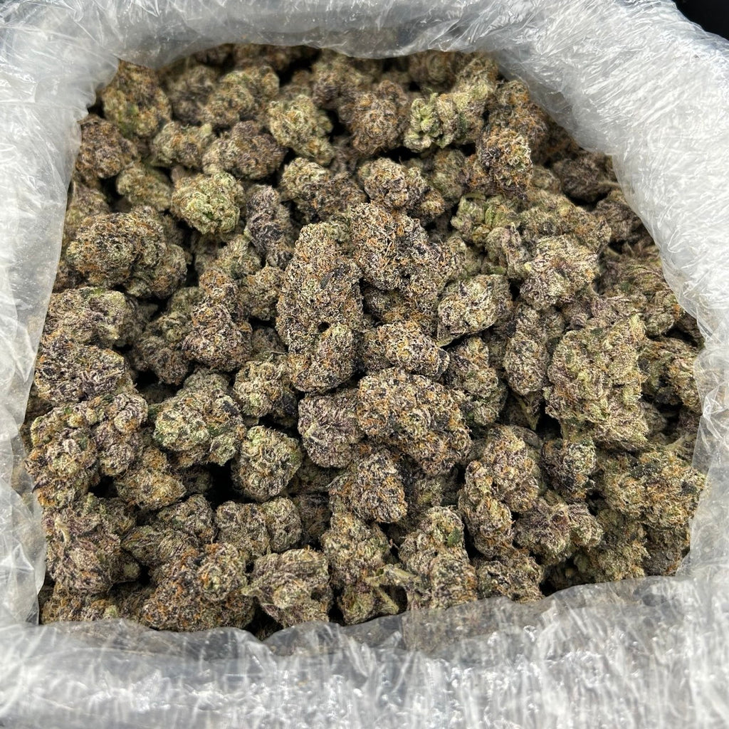 Spacey Candy Runtz ZUP#4159