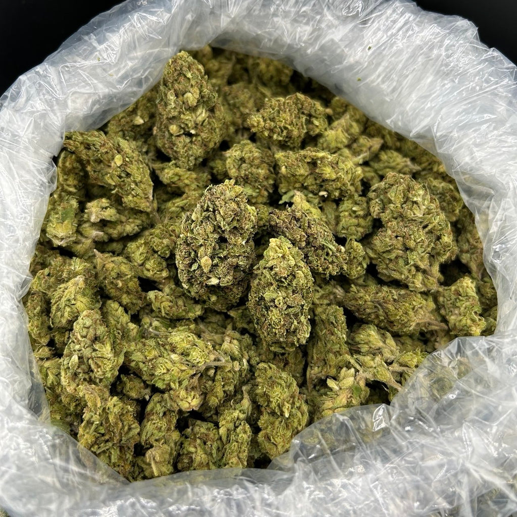 Pink Northern Lights ZUP#4170