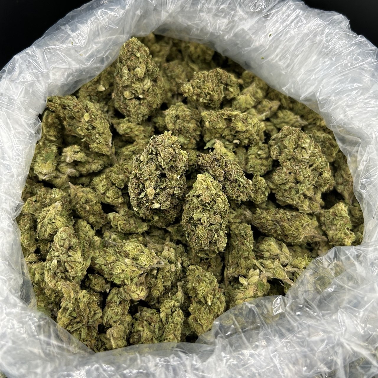 Pink Northern Lights ZUP#4170