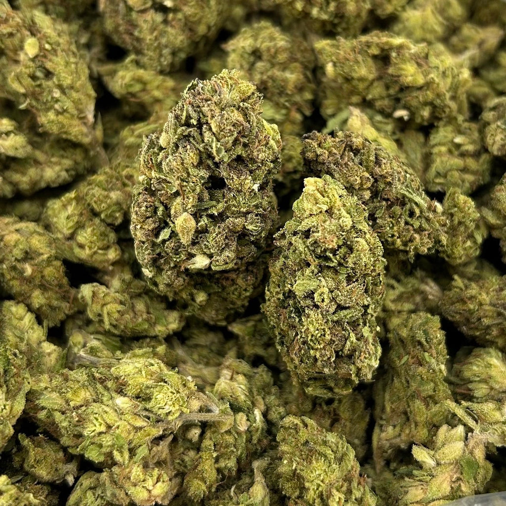 Pink Northern Lights ZUP#4170