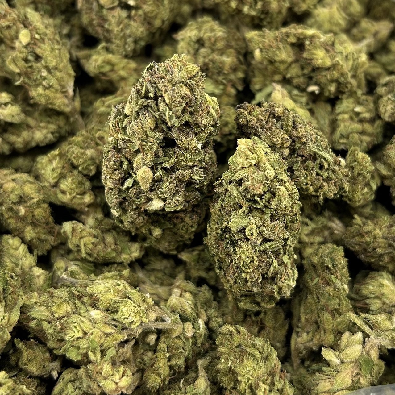 Pink Northern Lights ZUP#4170
