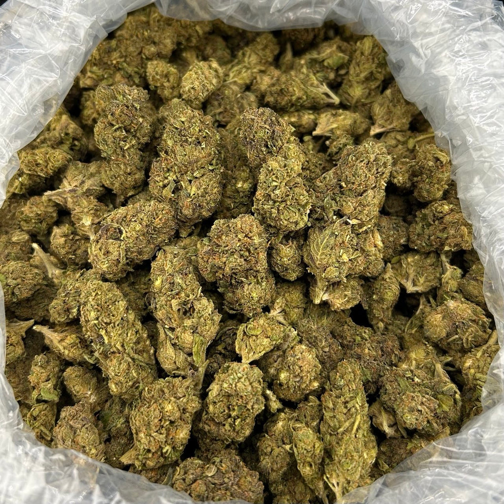 Apple & Gas ZUP#4171