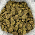 Apple & Gas ZUP#4171