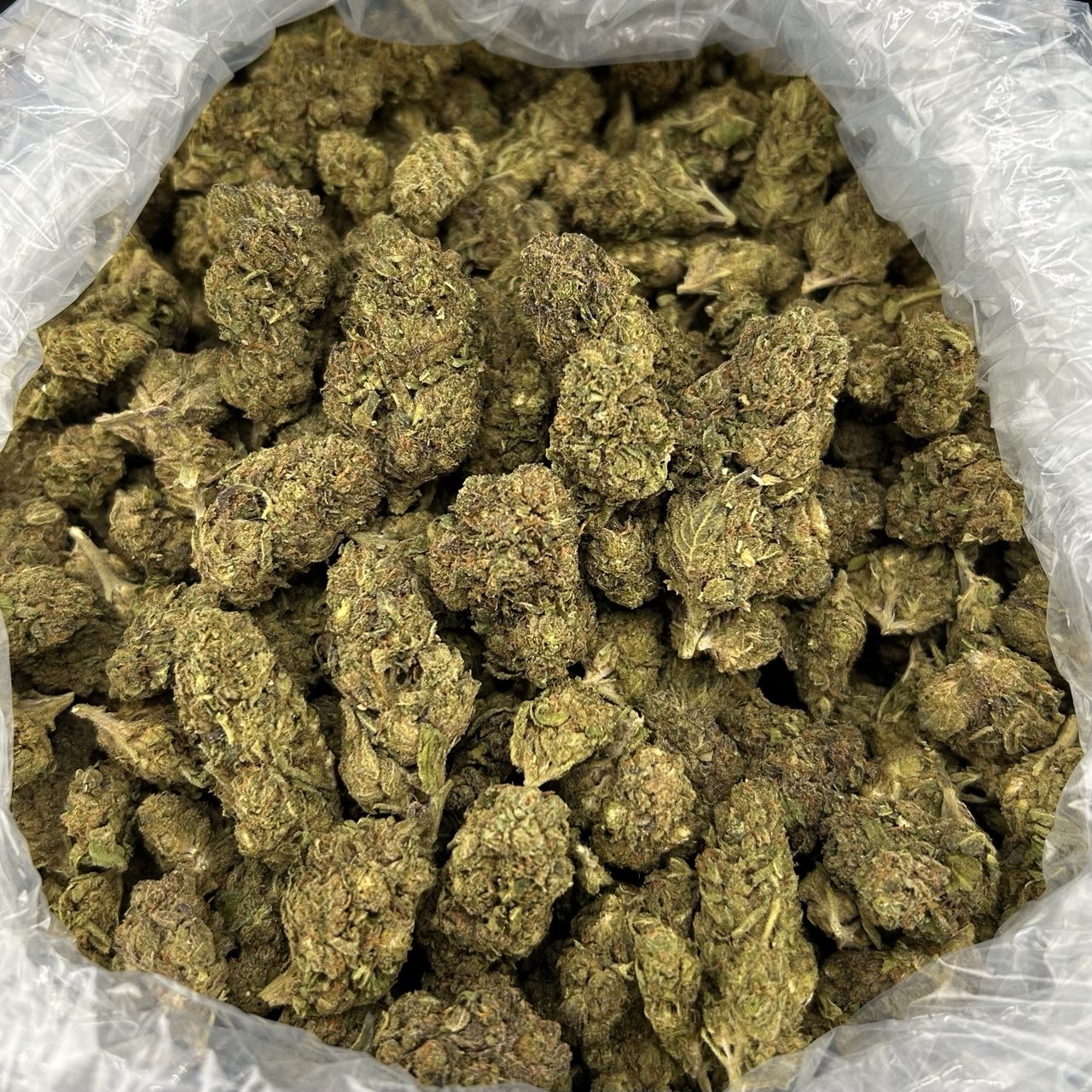 Apple & Gas ZUP#4171