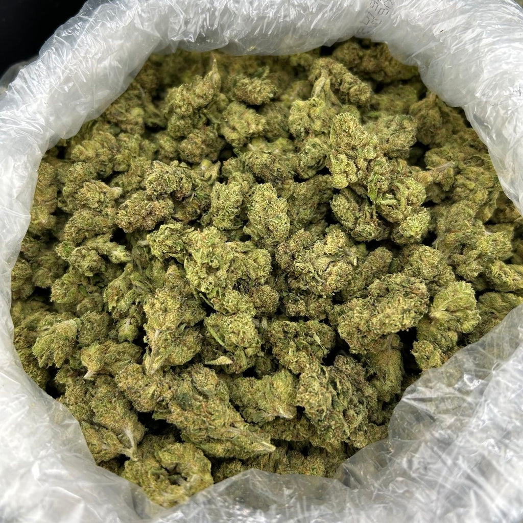 Candy Cane Runtz ZUP#4182