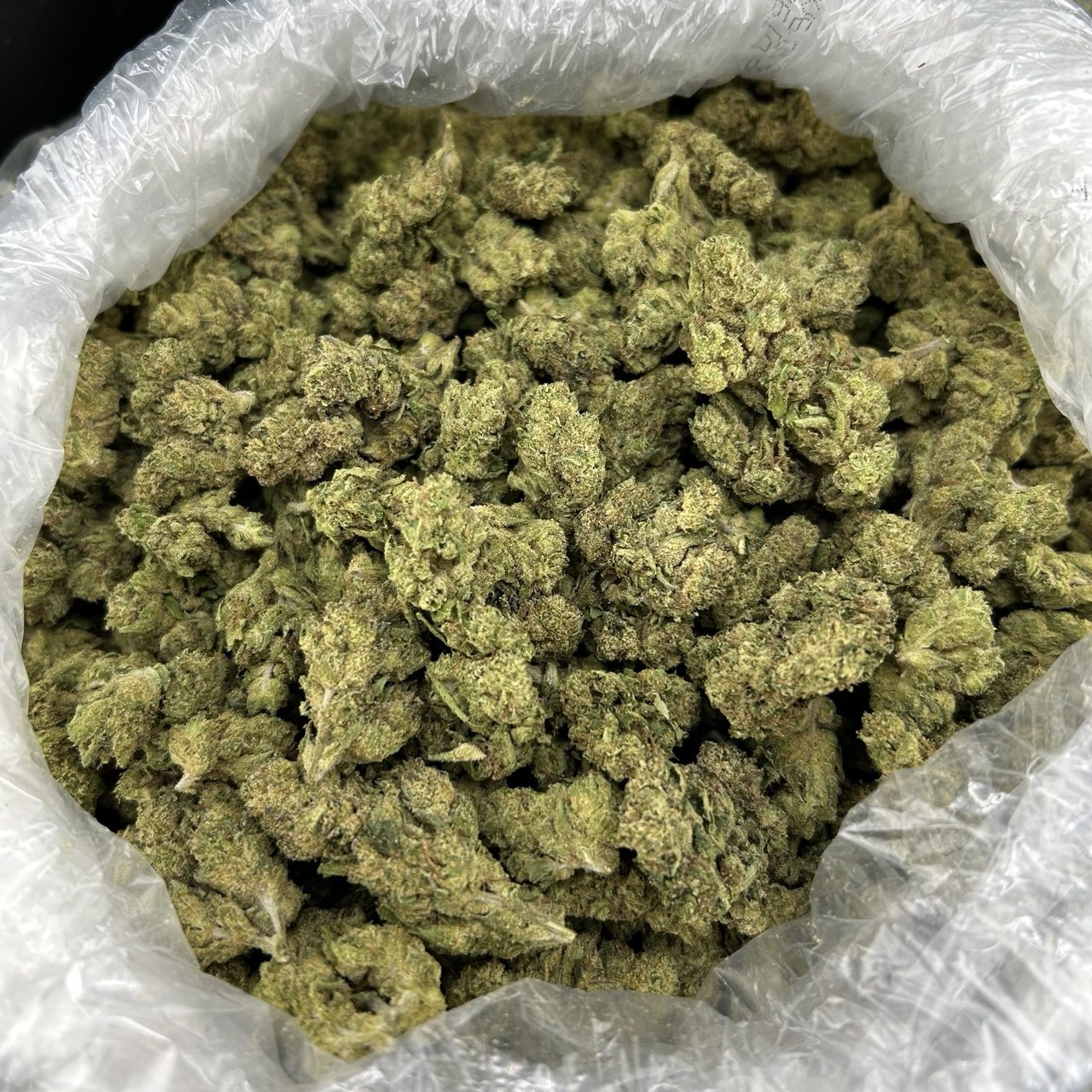 Candy Cane Runtz ZUP#4182