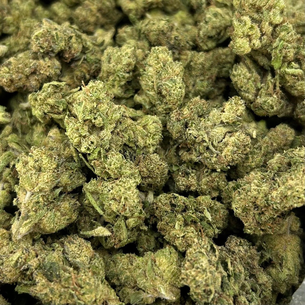 Candy Cane Runtz ZUP#4182