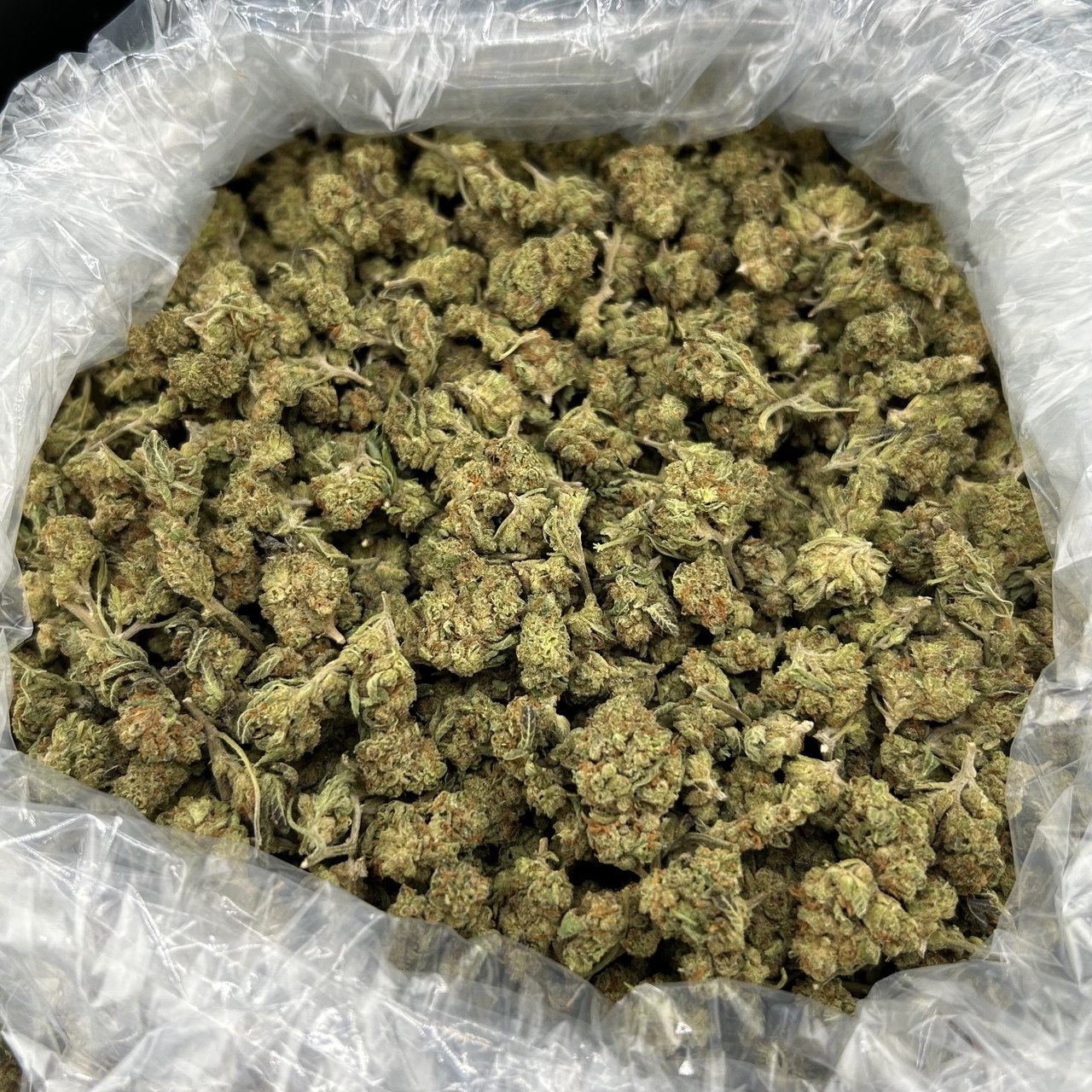 Rainbow Zkittles ZUP#4184