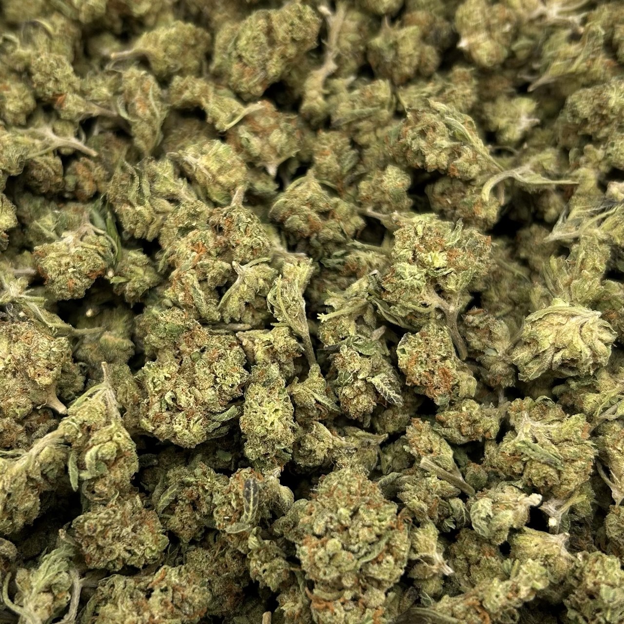 Rainbow Zkittles ZUP#4184