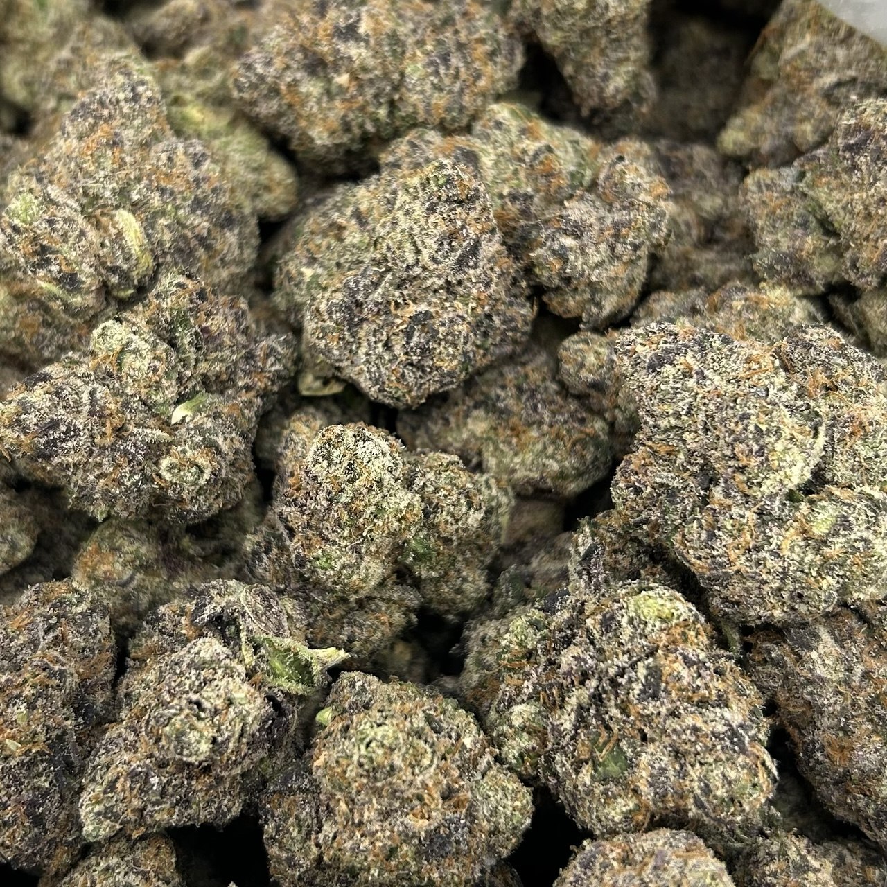 Bubblegum Wock Candy ZUP#4188