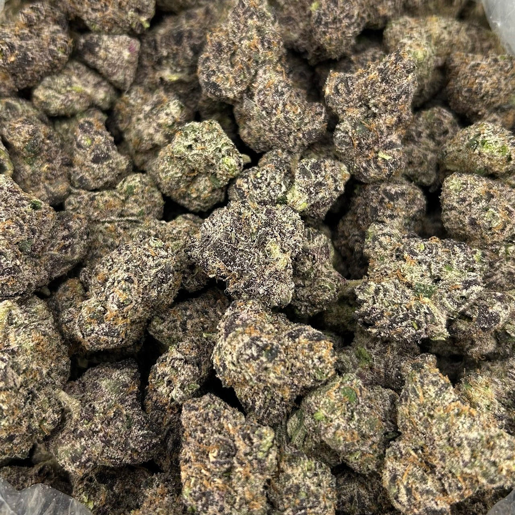 Martian Runtz ZUP#4189