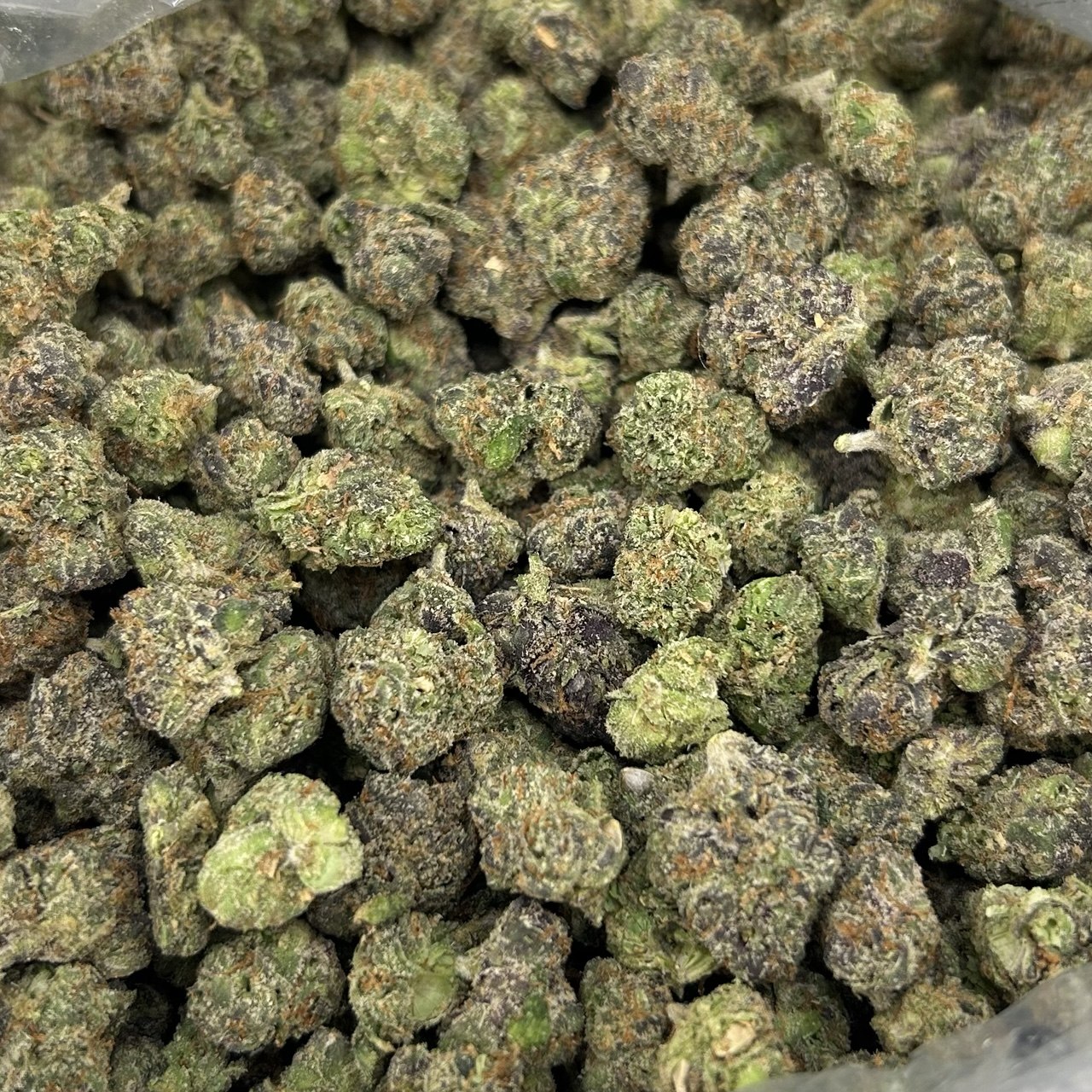 Blueberry Drop Smalls ZUP#4192