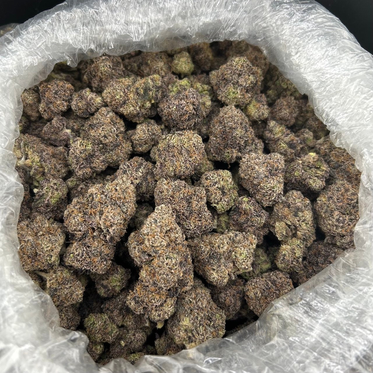 Cotton Candy (TERPED FLOWER) ZUP#4199
