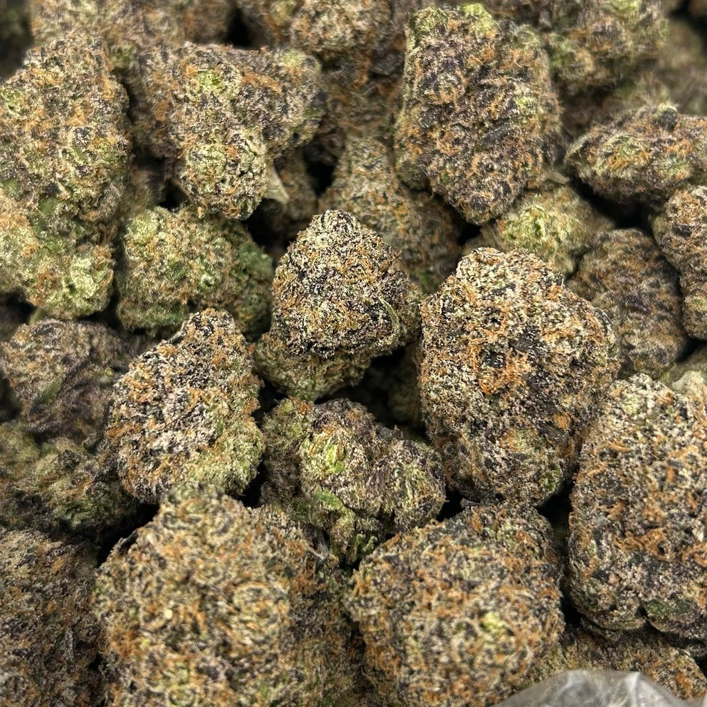 Watermelon Bubblegum (TERPED FLOWER) ZUP#4200