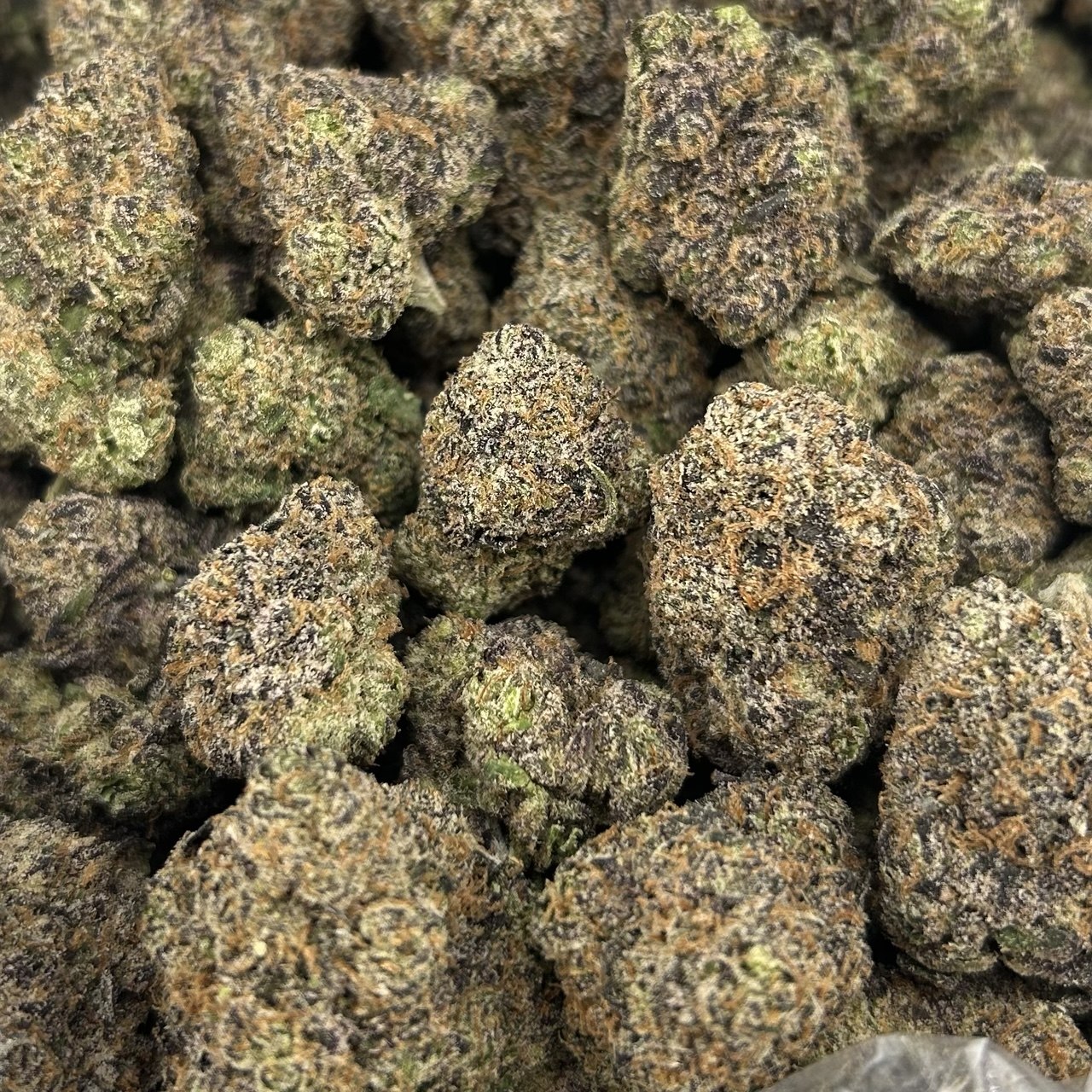 Watermelon Bubblegum (TERPED FLOWER) ZUP#4200