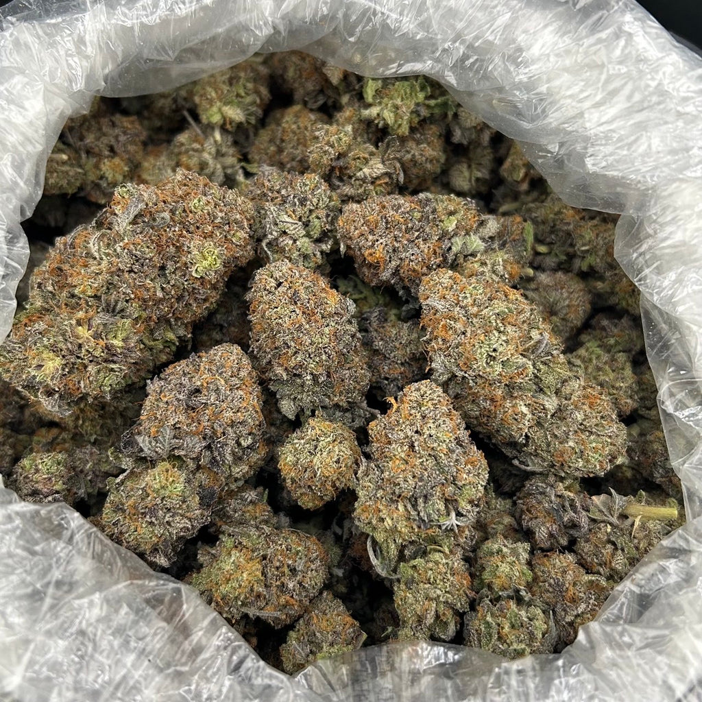 Platinum Sherb ZUP#4201
