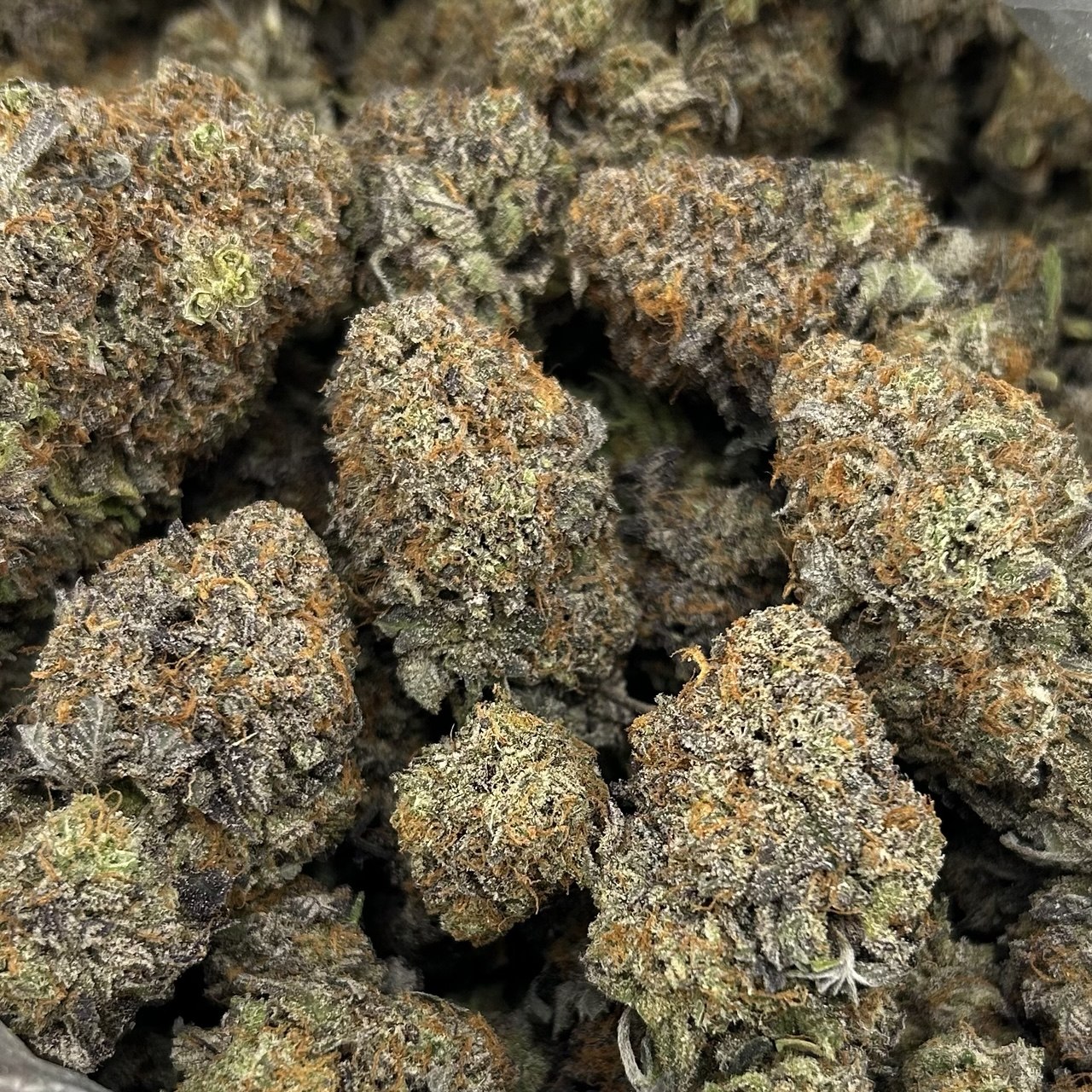Platinum Sherb ZUP#4201