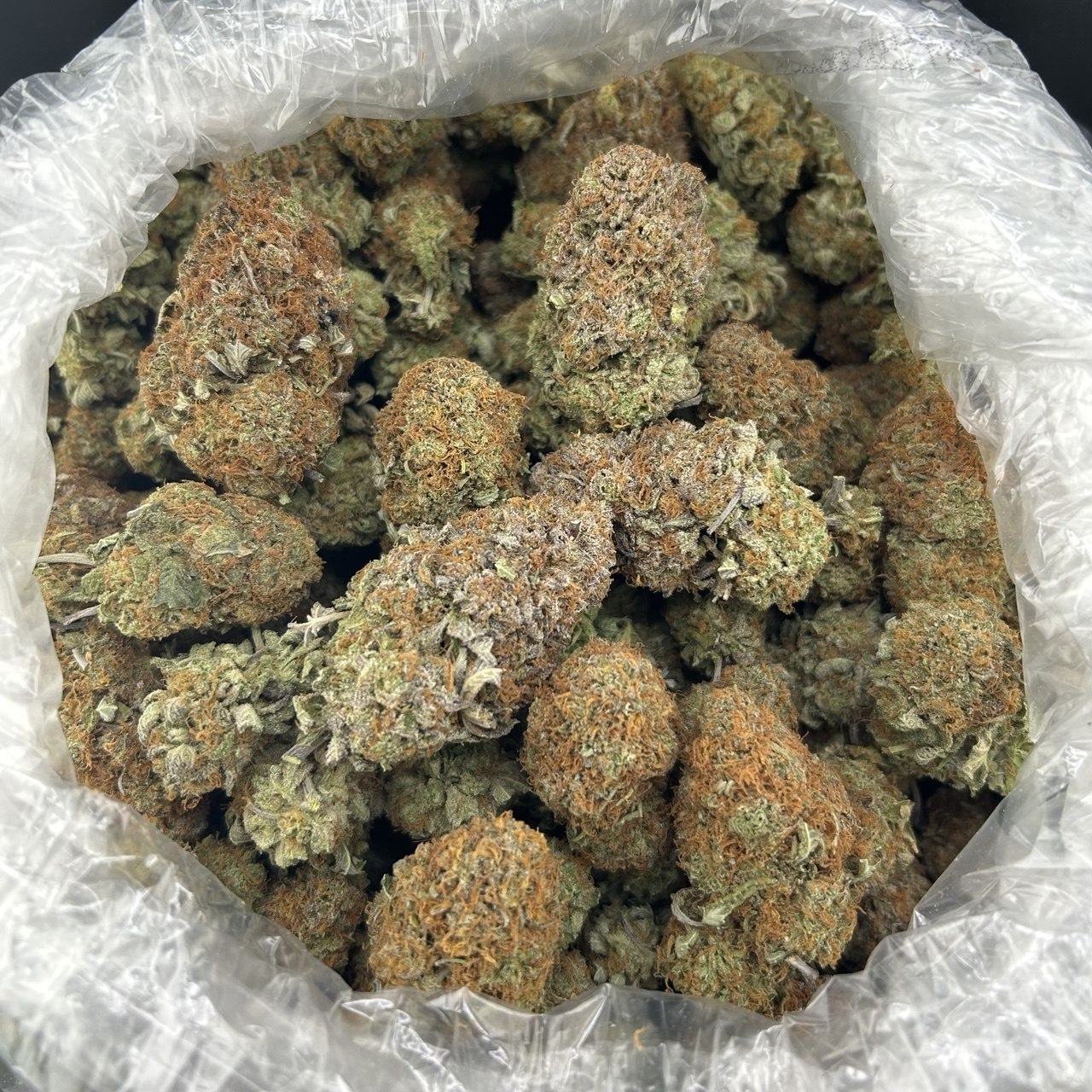 Platinum VVS ZUP#4202