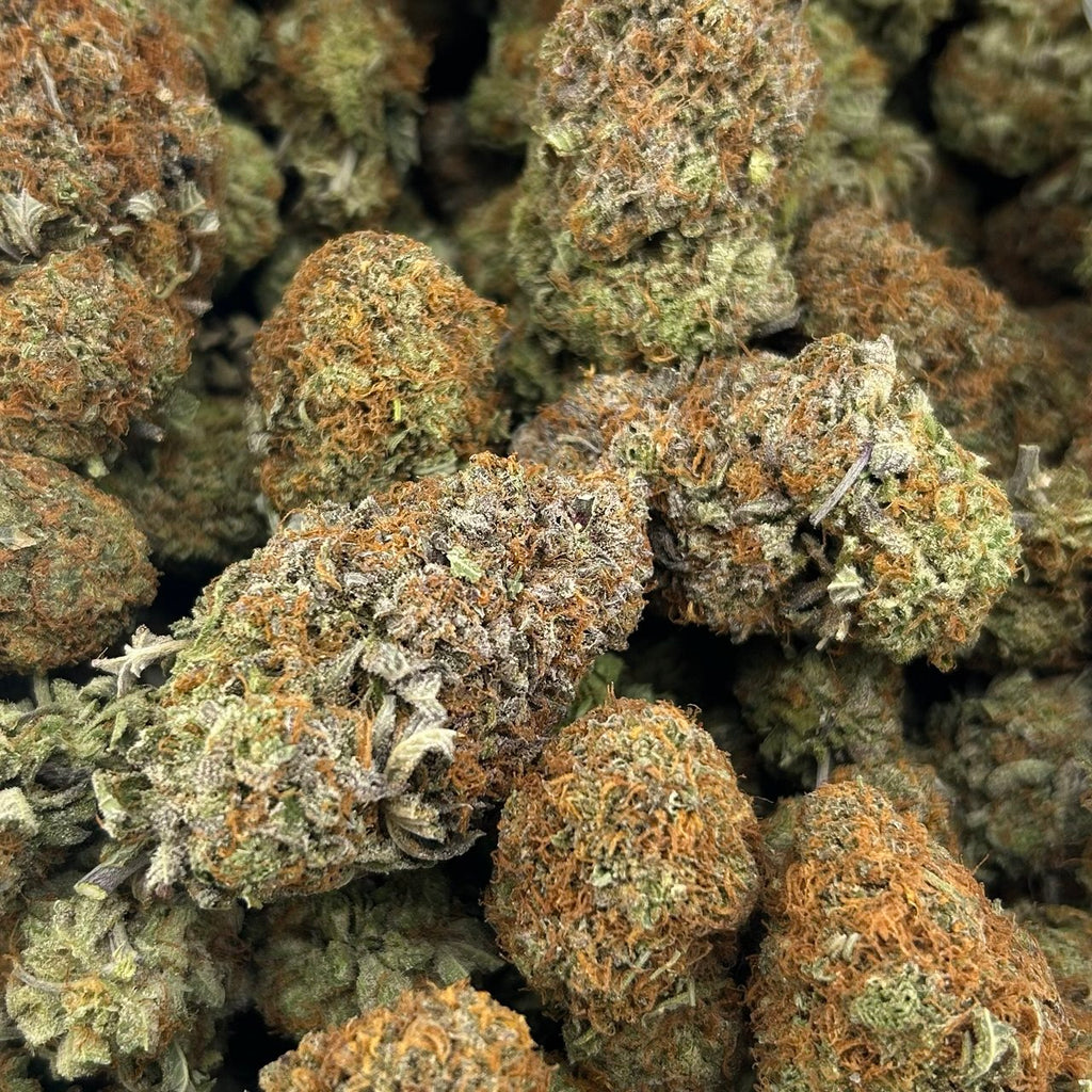 Platinum VVS ZUP#4202
