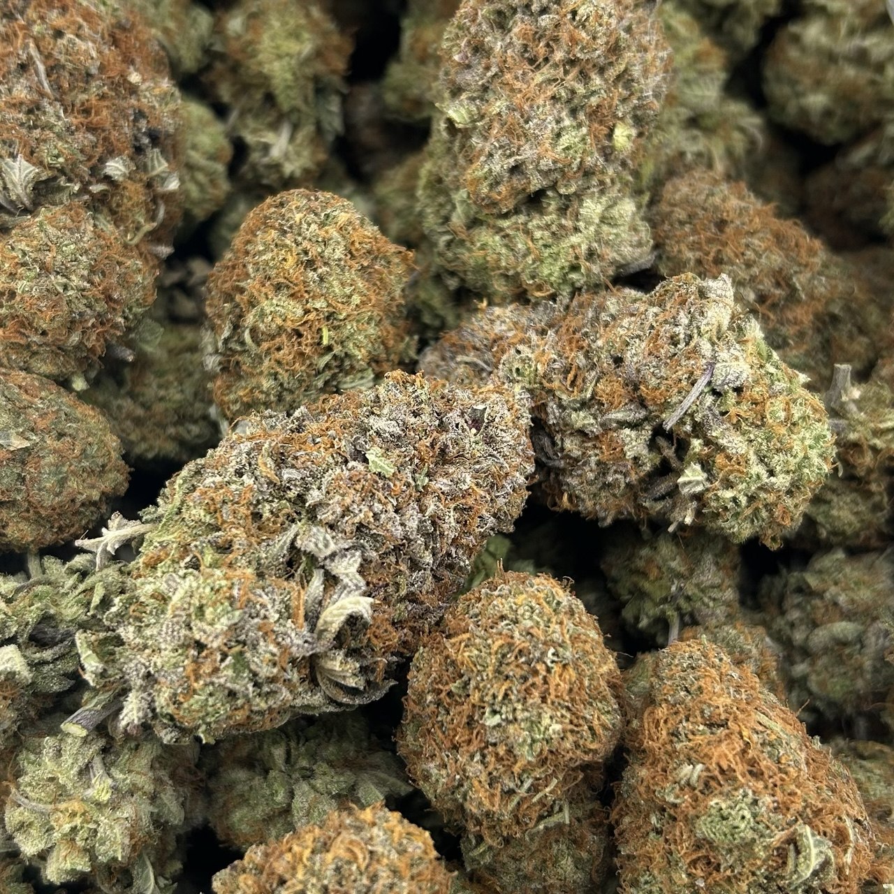 Platinum VVS ZUP#4202