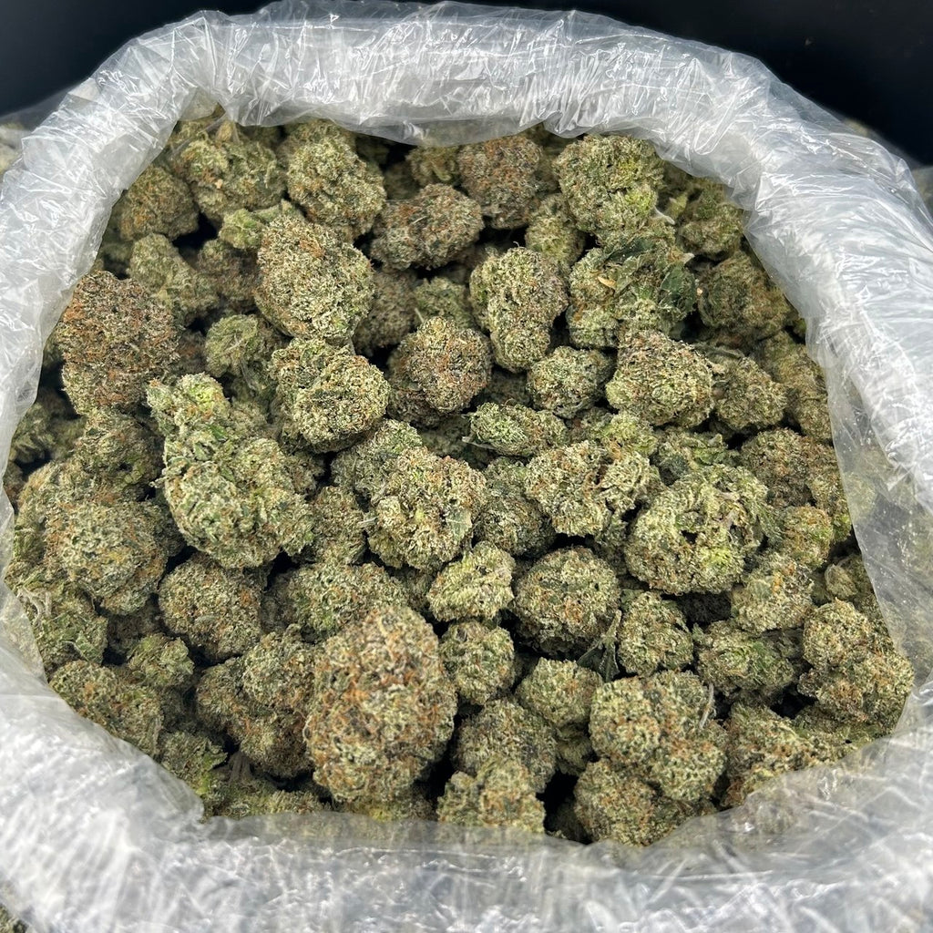 White Slowlane Cherries ZUP#4204
