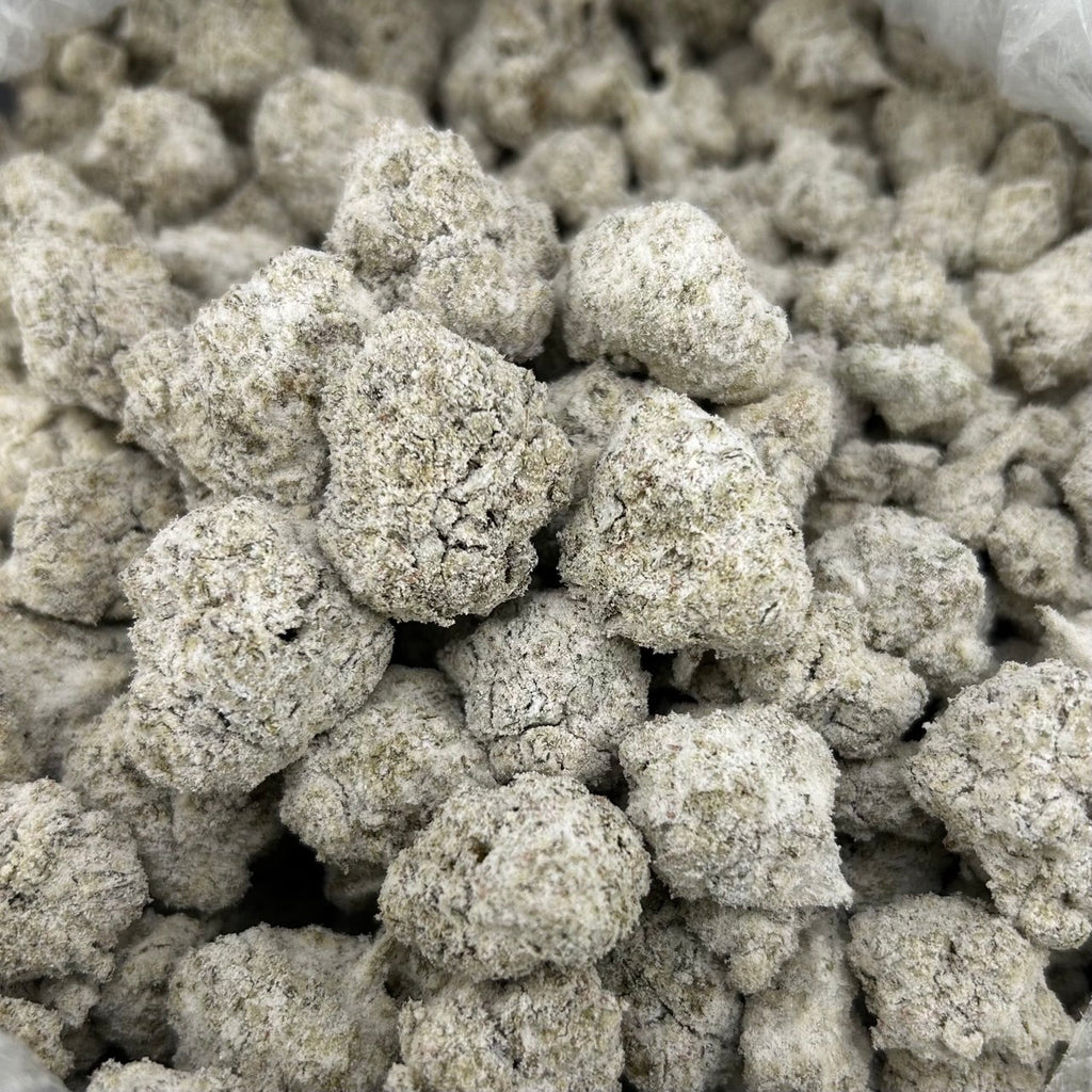 [Premium Gemz - 1LB ] Lemon Slushie ZUP#4210