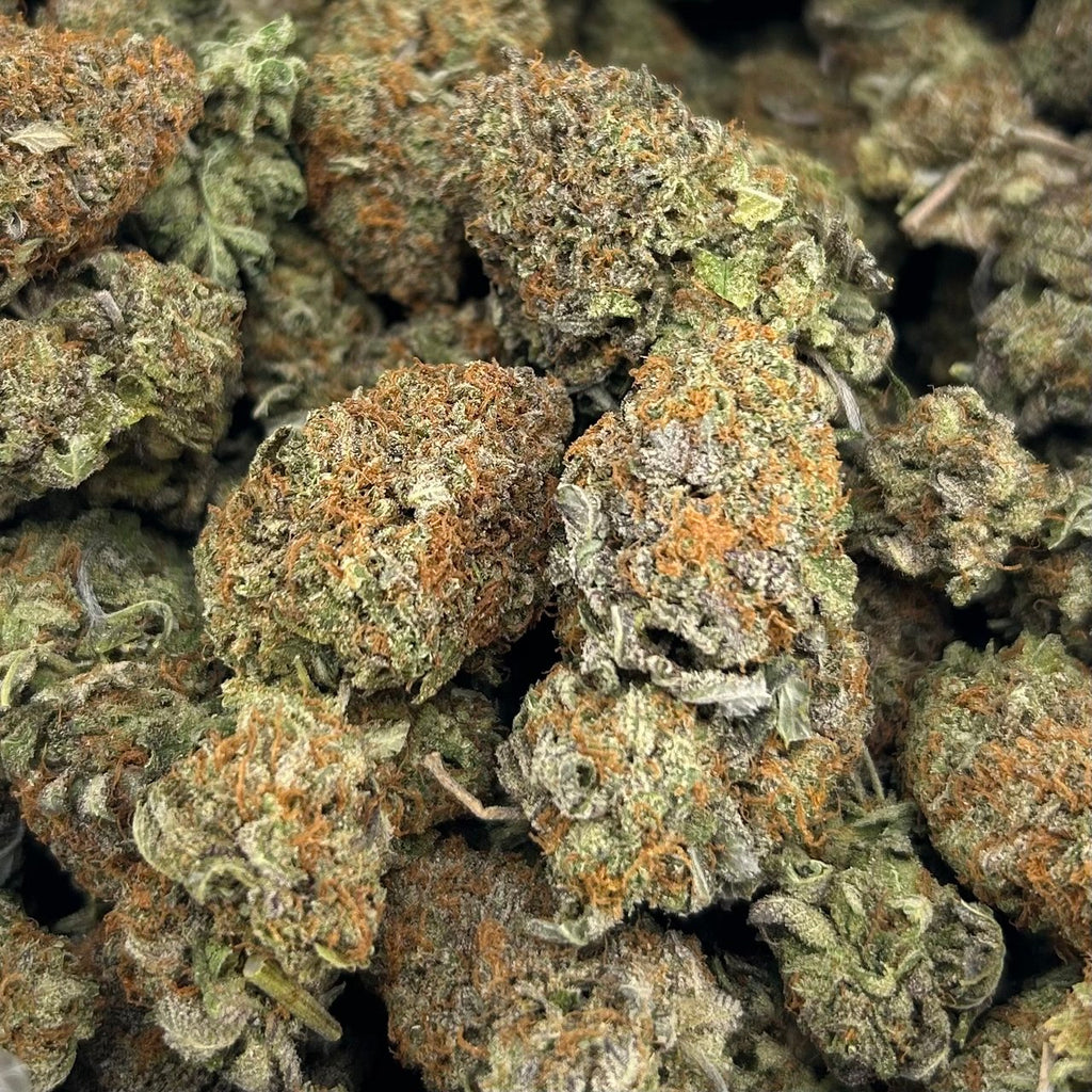 Platinum Biscotti ZUP#4216