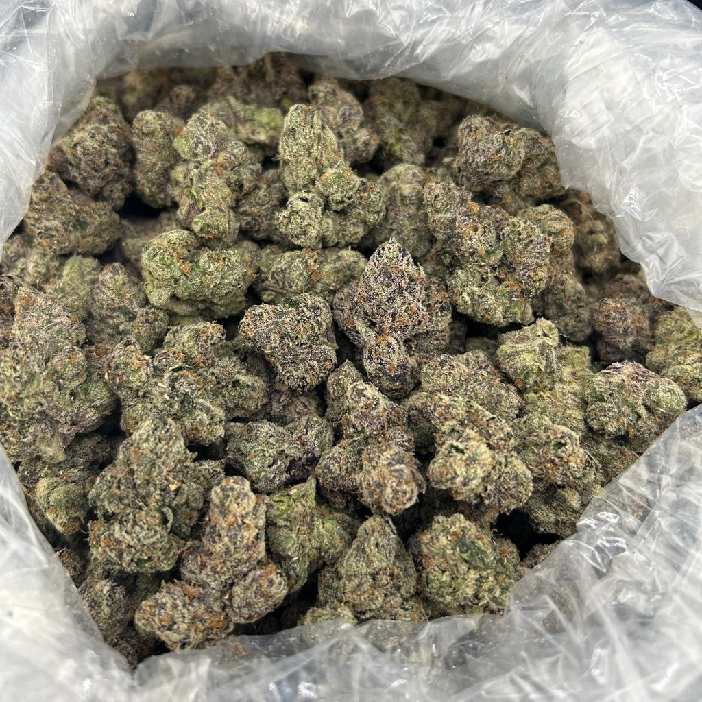 Watermelon Starburst ZUP#4219