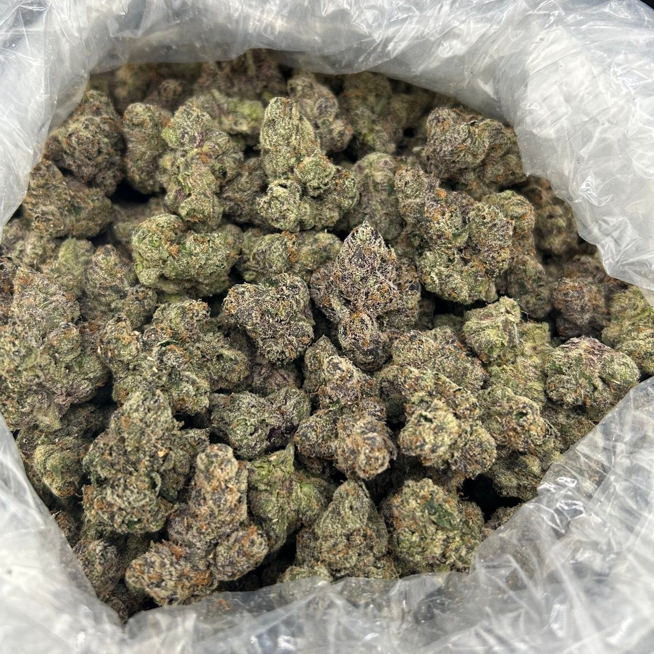 Watermelon Starburst ZUP#4219