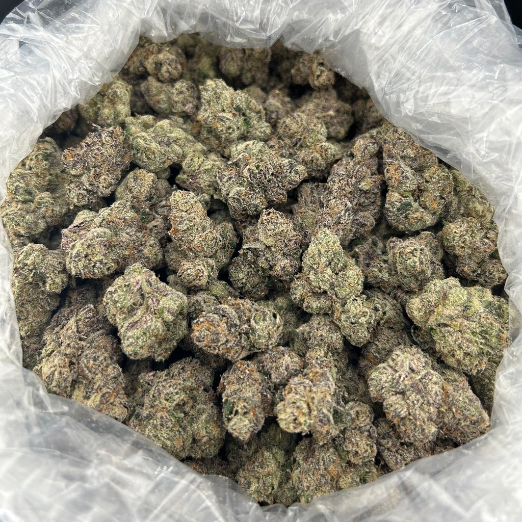 Rainbow Jobstoppers ZUP#4220