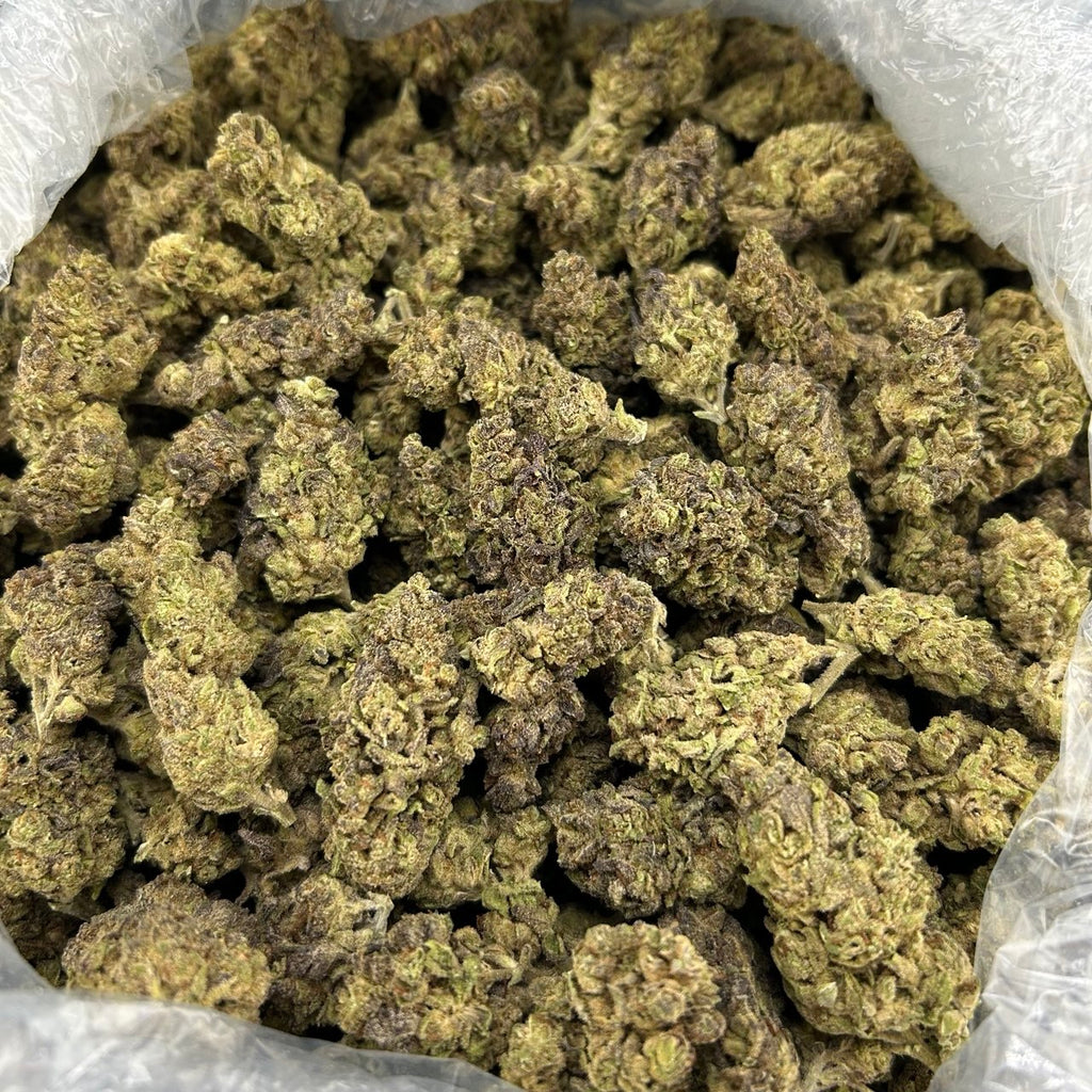 Kushlato ZUP#4229
