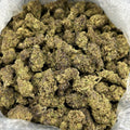 Kushlato ZUP#4229