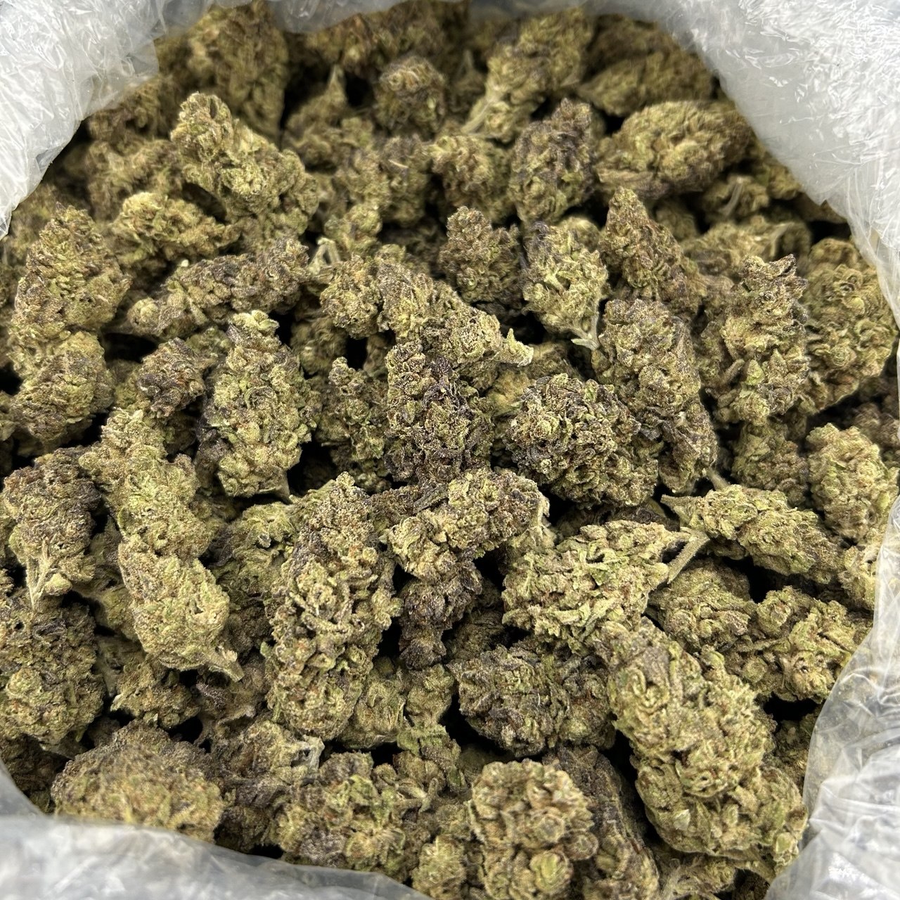 Kushlato ZUP#4229