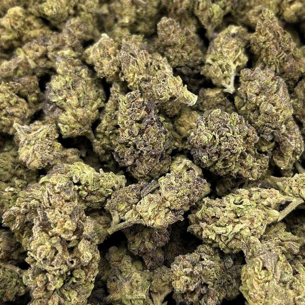 Kushlato ZUP#4229