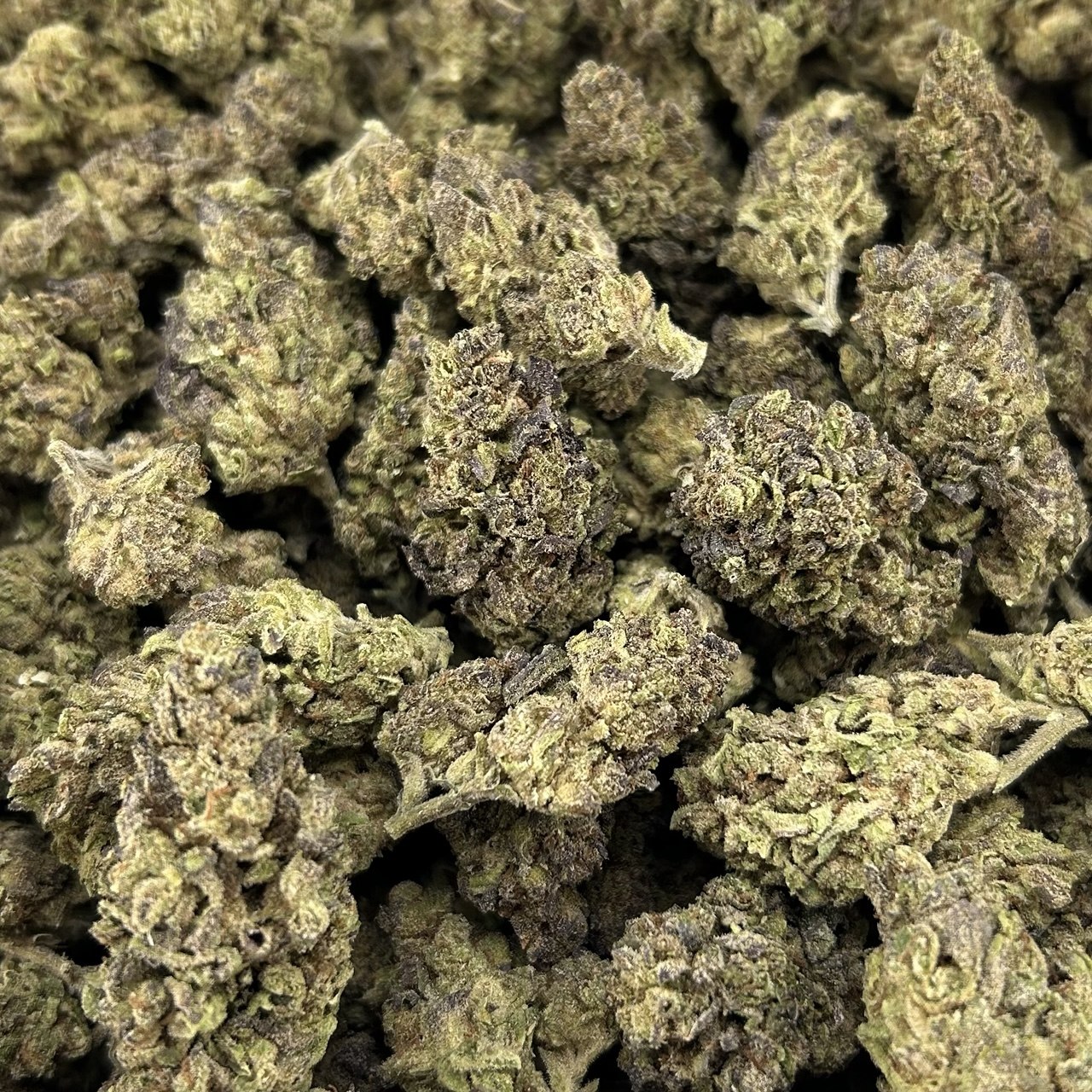 Kushlato ZUP#4229