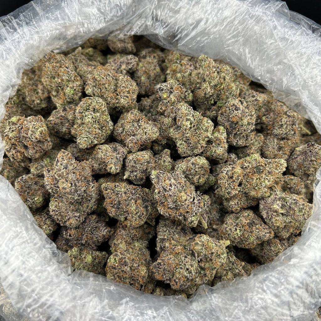 Slushy Candy ZUP#4231