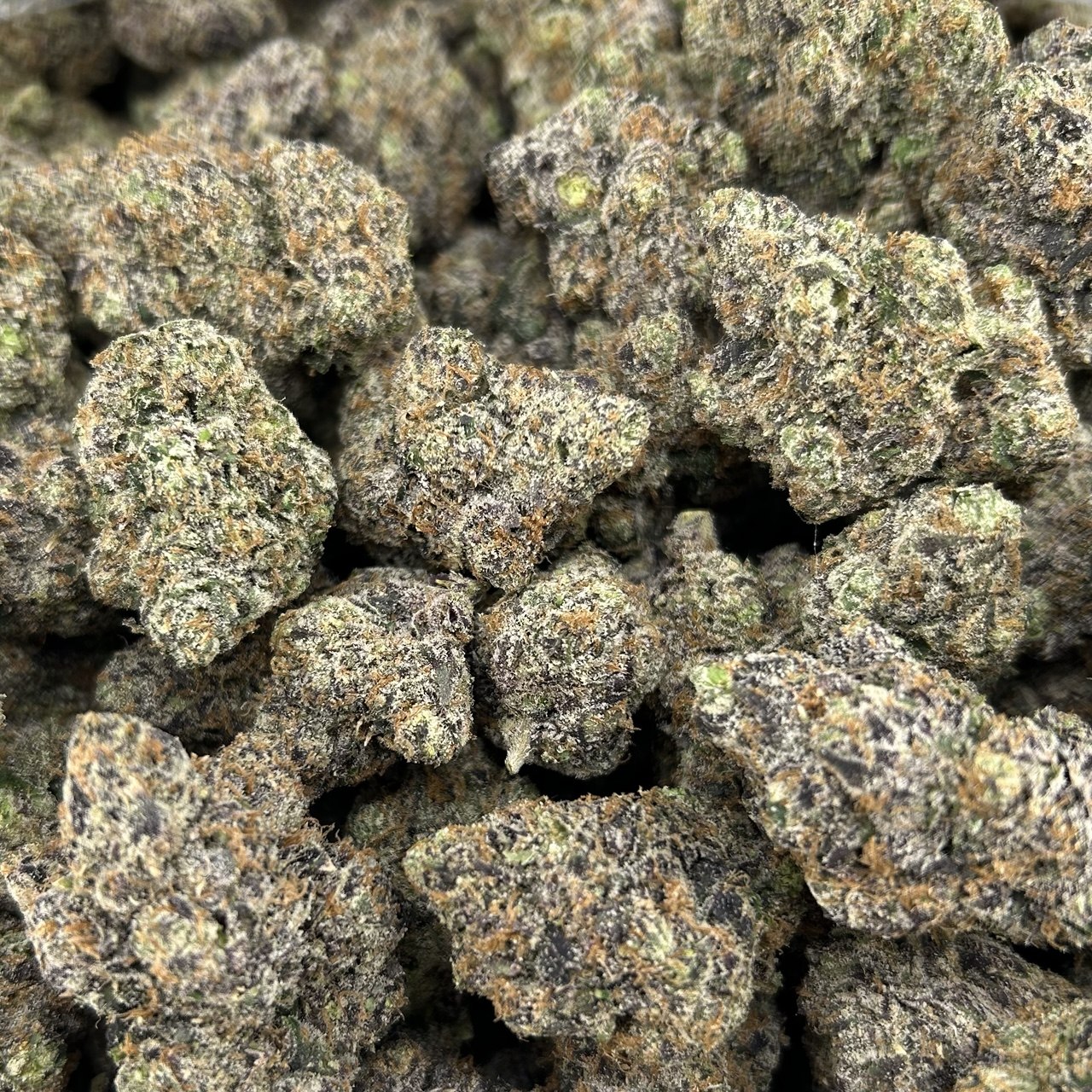Slushy Candy ZUP#4231