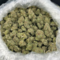 Tropical Gummiez ZUP#4242