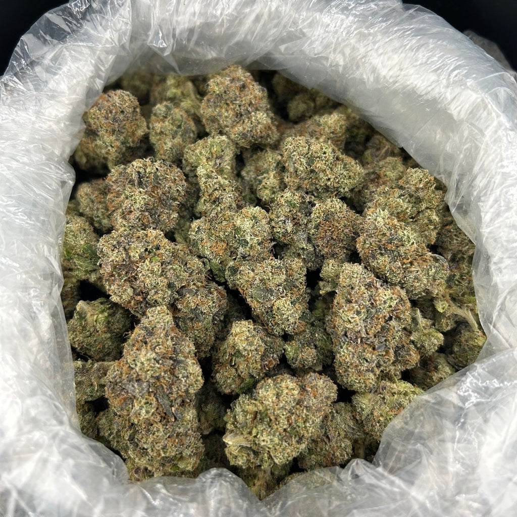 Candy Zlushie ZUP#4243