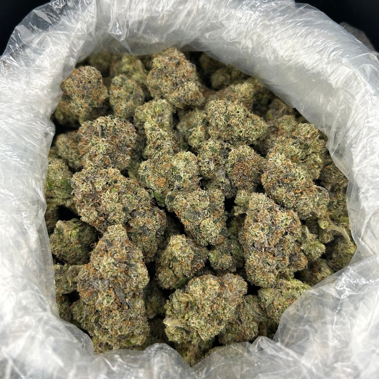 Candy Zlushie ZUP#4243